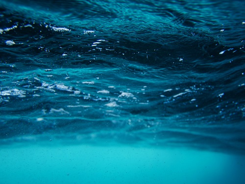 Sustainability: Using Microalgae To Destroy Microplastics